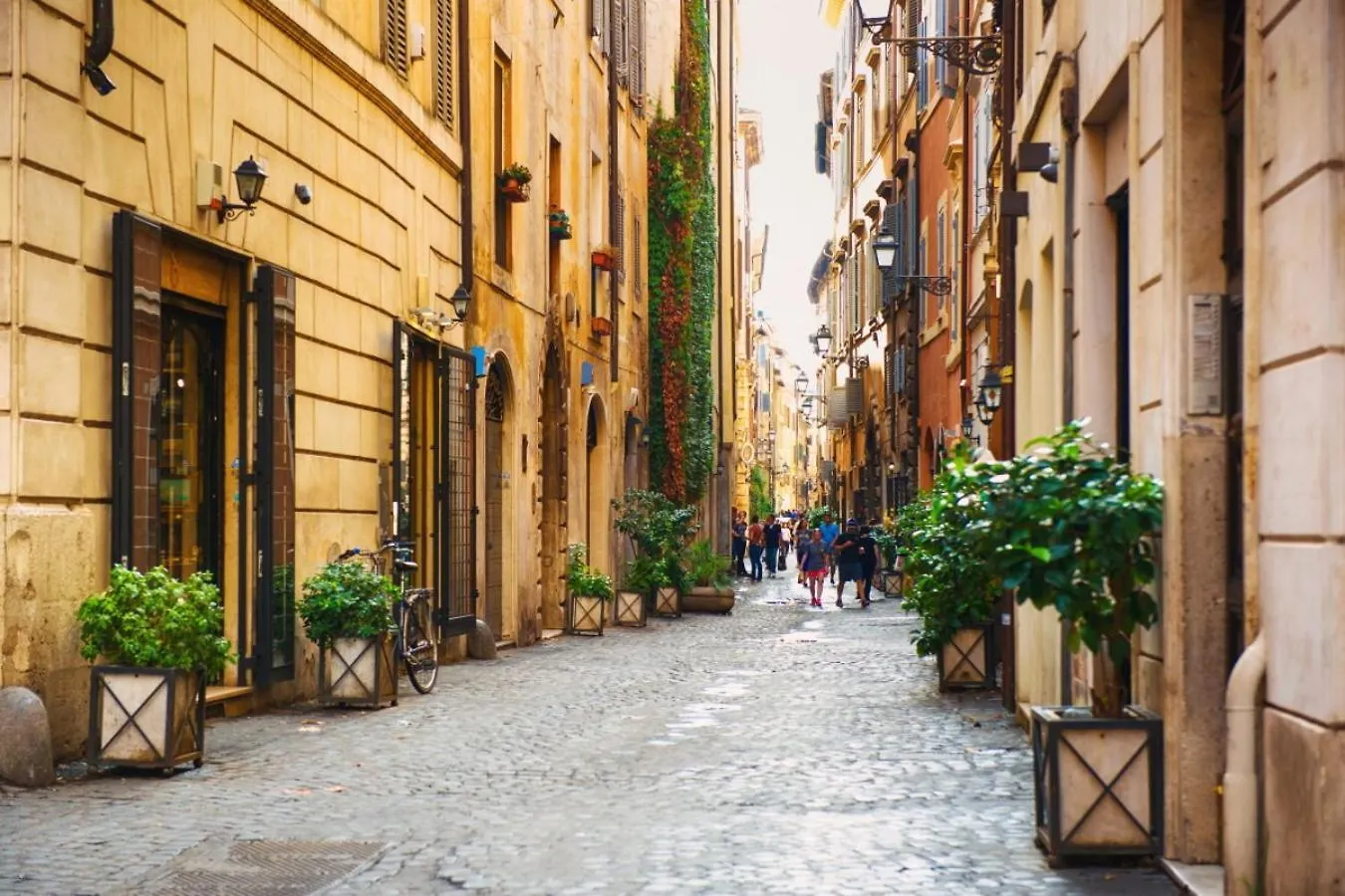 La Bella Vita Navona Roma 0*,